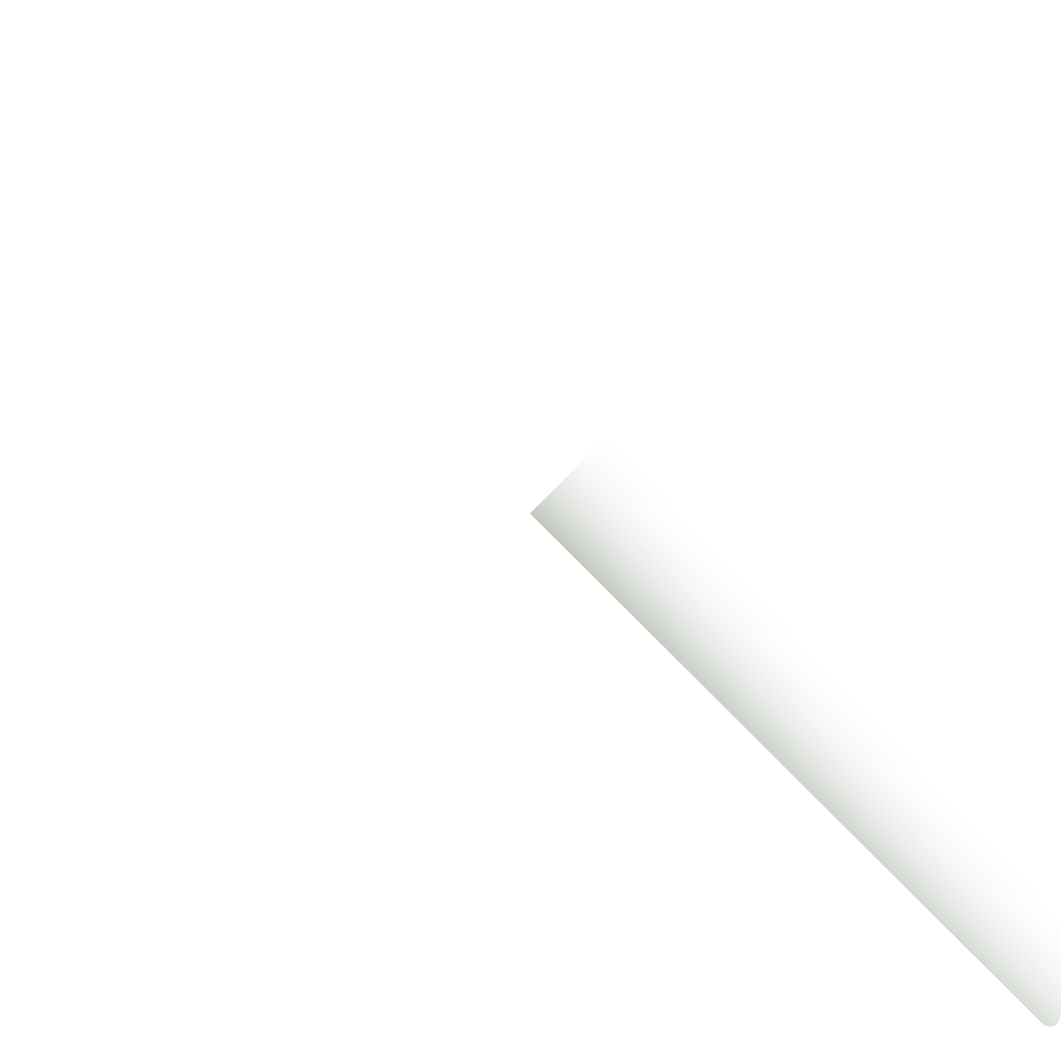 mnoorloos